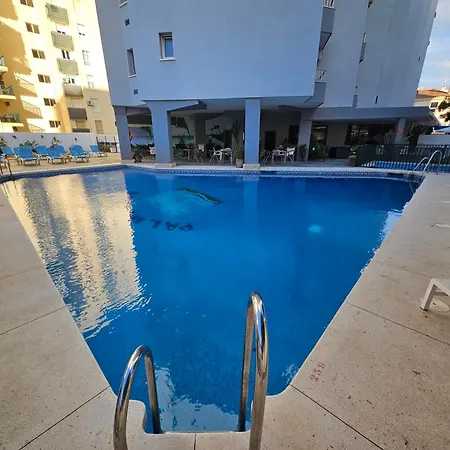 Palm - La Carihuela